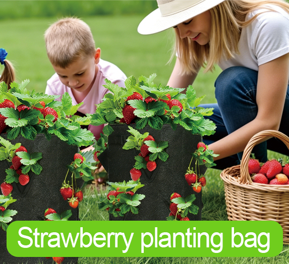 Strawberry planting bag